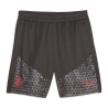 AC Milan Short Training Noir/Gris Homme Puma 2023/2024
