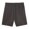 AC Milan Short Training Noir/Gris Homme Puma 2023/2024