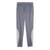 Milan AC Pantalon de survêtement Gris/Rose Homme Puma 23/24