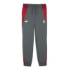 Milan AC Jogging de foot Gris Homme Puma 2024