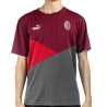 MILAN AC Maillot de foot Homme Puma 23/24