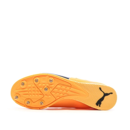Chaussures d'athlétisme Orange Homme Puma Evospeed