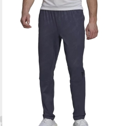 Jogging de Training Gris Homme Adidas HB9184
