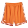 Short de Basketball Orange Homme Puma Hoops Team Game Short