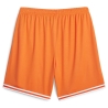 Short de Basketball Orange Homme Puma Hoops Team Game Short