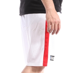 Short basketball Blanc Homme Sport Zone Chicago Bulls