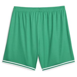 Short de Basketball Vert Homme Puma Hoops Team Game Short
