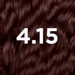 Coloration Enut Brwn Femme Garnier 4.15