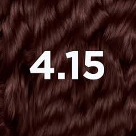 Coloration Enut Brwn Femme Garnier 4.15