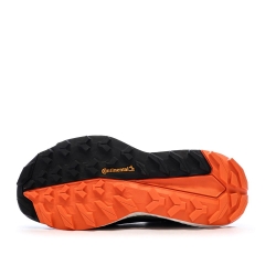 Chaussures de Randonnée Noir Femme Adidas Terrex Free Hiker 2