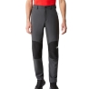 Pantalon de Randonneé Gris Homme The North Face Beshtor