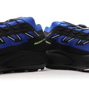 Chaussures de randonnées Bleu Homme Salomon Pulsar