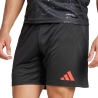 SL Benfica Short Extérieur Noir Homme Adidas 24/25