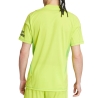 Arsenal Maillot de Gardien Jaune Homme Adidas 24/25