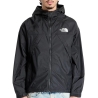 Veste Noire Homme The North Face Wind