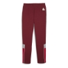 Milan AC Pantalon de survêtement Bordeaux Homme Puma 23/24
