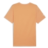 T-Shirt Orange Homme Puma Amg