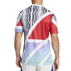 Arsenal Maillot Prématch Homme Adidas Preshi 24/25