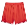 Short de Basketball Rouge Homme Puma Hoops Team Game Short