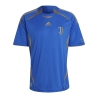 Juventus Maillot Bleu Homme Adidas Teamgeist