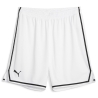 Short de Basketball Blanc Homme Puma Hoops Team Game Short