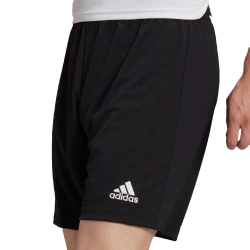 Short Noir Homme Adidas Ent22