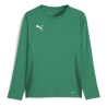 T-Shirt Vert Homme Puma Teamgoal