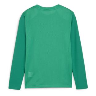T-Shirt Vert Homme Puma Teamgoal
