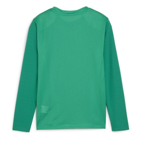 T-Shirt Vert Homme Puma Teamgoal