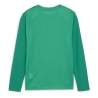 T-Shirt Vert Homme Puma Teamgoal