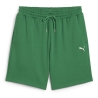 Short Vert Homme Puma Wardrobe