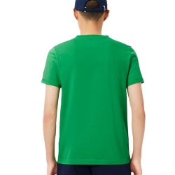 T-Shirt + Casquette Vert Homme Lacoste TH1044