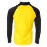 Veste Noire/Jaune Homme Puma Teamliga