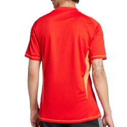 Juventus Maillot de Gardien Rouge Homme Adidas 24/25
