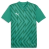 Maillot Vert Homme Puma Teamglory
