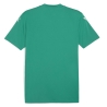 Maillot Vert Homme Puma Teamglory