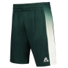 Short de Sport Vert Homme Le Coq Sportif Tennis Pro N°2
