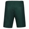 Short de Sport Vert Homme Le Coq Sportif Tennis Pro N°2