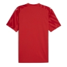OM Maillot Réplica Gardien Rouge Homme Puma 24/25