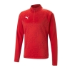 Veste de Sport Rouge Homme Puma Teamliga Training Graphic