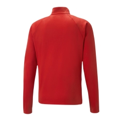 Veste de Sport Rouge Homme Puma Teamliga Training Graphic