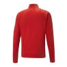 Veste de Sport Rouge Homme Puma Teamliga Training Graphic