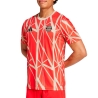 Bayern Munich Maillot Prématch Rouge Homme Adidas 24/25