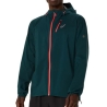 Veste Verte Homme Asics Fujitrail