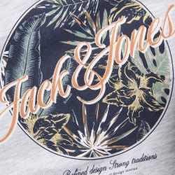 Sweat Gris Garçon Jack & Jones Lulu