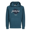Sweat Vert Garçon Jack & Jones Whtiley