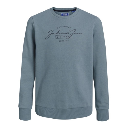 Sweat Marine Garçon Jack & Jones Ferris