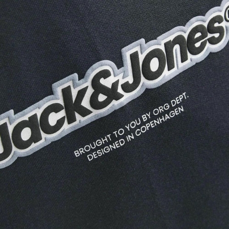 Sweat à Capuche Gris Garçon Jack & Jones Newton Branding