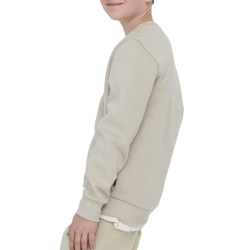Sweat Beige Garçon Only & Sons Ceres Crew