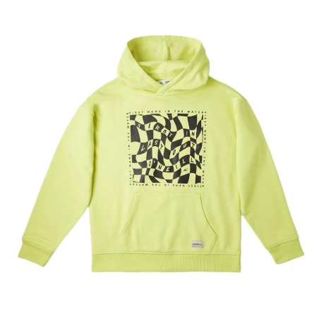 Sweat à Capuche Vert Garçon O'Neill Checker